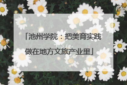 池州学院：把美育实践做在地方文旅产业里