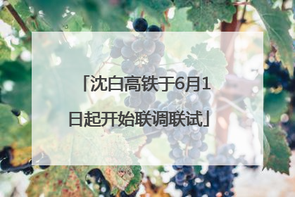 沈白高铁于6月1日起开始联调联试