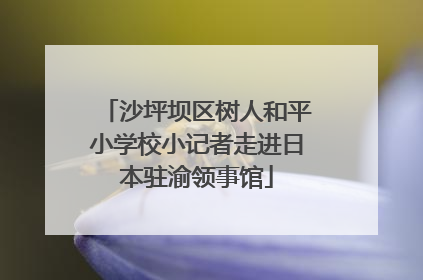 沙坪坝区树人和平小学校小记者走进日本驻渝领事馆