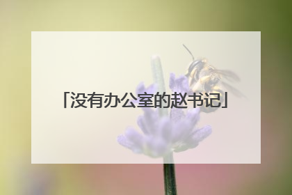 没有办公室的赵书记