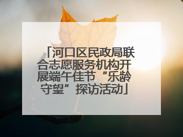 河口区民政局联合志愿服务机构开展端午佳节“乐龄守望”探访活动