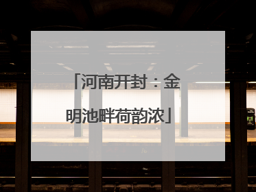 河南开封：金明池畔荷韵浓
