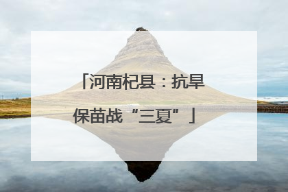 河南杞县：抗旱保苗战“三夏”