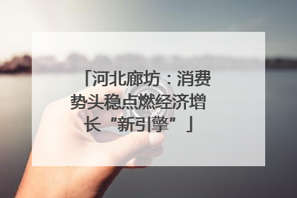 河北廊坊：消费势头稳点燃经济增长“新引擎”
