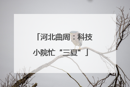 河北曲周：科技小院忙“三夏”