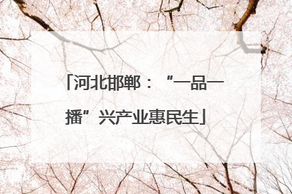 河北邯郸：“一品一播”兴产业惠民生