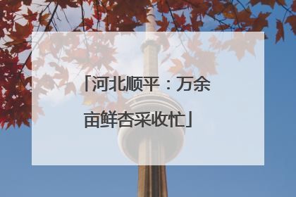河北顺平：万余亩鲜杏采收忙