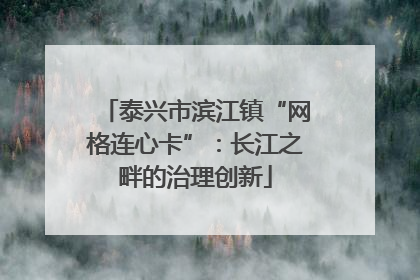 泰兴市滨江镇“网格连心卡”：长江之畔的治理创新