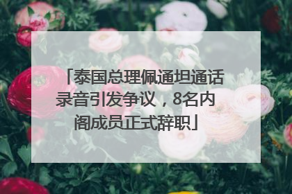 泰国总理佩通坦通话录音引发争议，8名内阁成员正式辞职