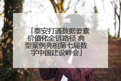 泰安打通数据要素价值化全链路径 典型案例亮相第七届数字中国建设峰会