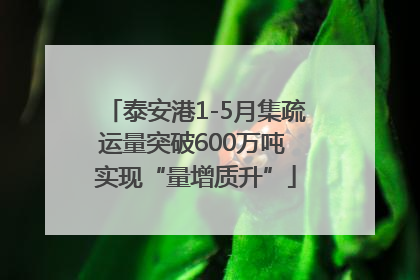 泰安港1-5月集疏运量突破600万吨 实现“量增质升”