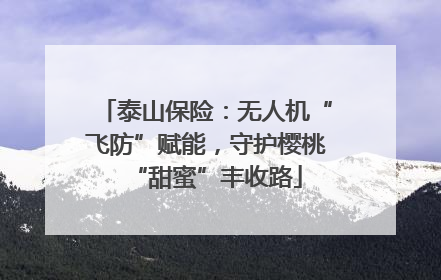 泰山保险：无人机“飞防”赋能，守护樱桃“甜蜜”丰收路