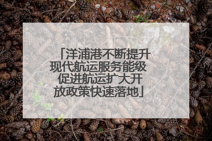 洋浦港不断提升现代航运服务能级 促进航运扩大开放政策快速落地