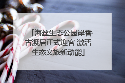 海丝生态公园岸香·古渡居正式迎客 激活生态文旅新动能