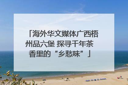 海外华文媒体广西梧州品六堡 探寻千年茶香里的“乡愁味”