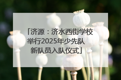 济源：济水西街学校举行2025年少先队新队员入队仪式
