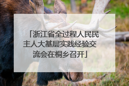 浙江省全过程人民民主人大基层实践经验交流会在桐乡召开