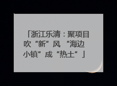 浙江乐清：聚项目吹“新”风 “海边小镇”成“热土”