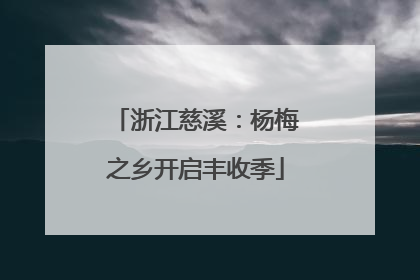 浙江慈溪：杨梅之乡开启丰收季