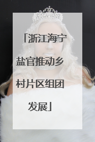 浙江海宁盐官推动乡村片区组团发展