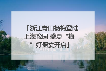 浙江青田杨梅登陆上海豫园 盛夏“梅”好盛宴开启