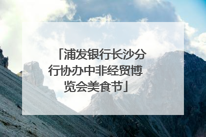 浦发银行长沙分行协办中非经贸博览会美食节