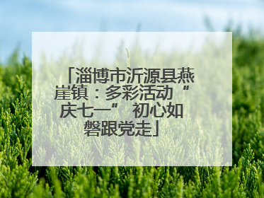 淄博市沂源县燕崖镇：多彩活动“庆七一” 初心如磐跟党走