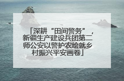深耕“田间警务”，新疆生产建设兵团第二师公安以警护农绘就乡村振兴平安画卷
