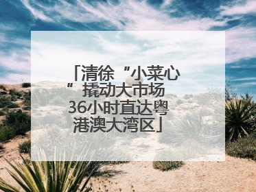 清徐“小菜心”撬动大市场 36小时直达粤港澳大湾区