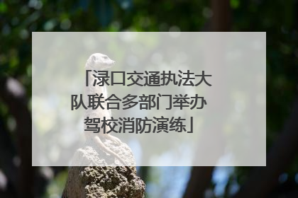 渌口交通执法大队联合多部门举办驾校消防演练