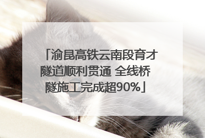 渝昆高铁云南段育才隧道顺利贯通 全线桥隧施工完成超90%