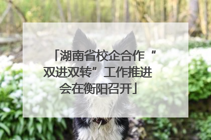湖南省校企合作“双进双转”工作推进会在衡阳召开