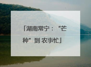 湖南常宁：“芒种”到 农事忙