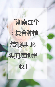 湖南江华：复合种植结硕果 龙头兜底助增收