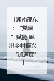 湖南邵东：“党建+”赋能 跑出乡村振兴“加速度”