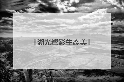 湖光鹭影生态美