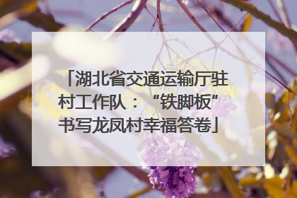 湖北省交通运输厅驻村工作队：“铁脚板”书写龙凤村幸福答卷