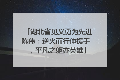 湖北省见义勇为先进陈伟：逆火而行伸援手，平凡之躯亦英雄