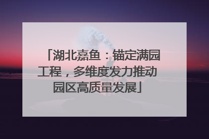 湖北嘉鱼：锚定满园工程，多维度发力推动园区高质量发展