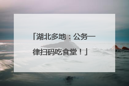湖北多地：公务一律扫码吃食堂！