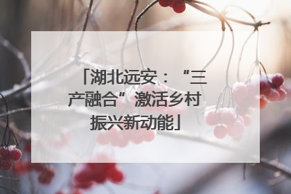 湖北远安：“三产融合”激活乡村振兴新动能