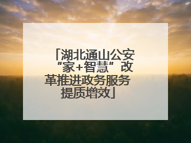 湖北通山公安“家+智慧”改革推进政务服务提质增效