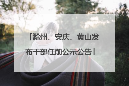 滁州、安庆、黄山发布干部任前公示公告