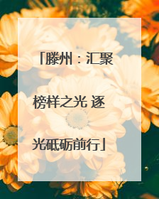 滕州：汇聚榜样之光 逐光砥砺前行