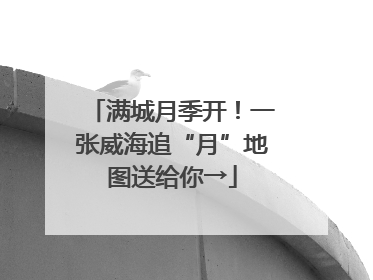 满城月季开！一张威海追“月”地图送给你→