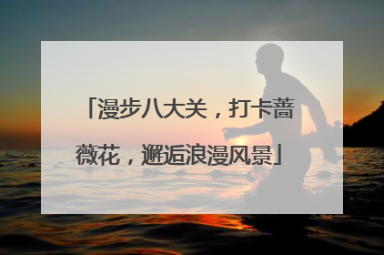 漫步八大关，打卡蔷薇花，邂逅浪漫风景