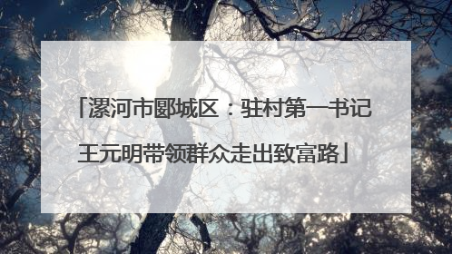 漯河市郾城区：驻村第一书记王元明带领群众走出致富路
