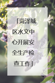 菏泽城区水文中心开展安全生产检查工作
