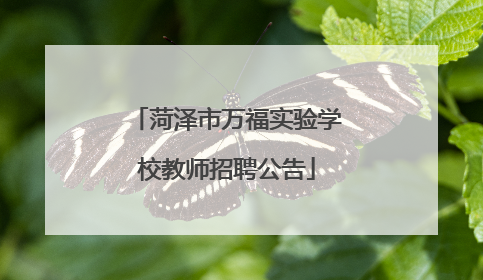 菏泽市万福实验学校教师招聘公告