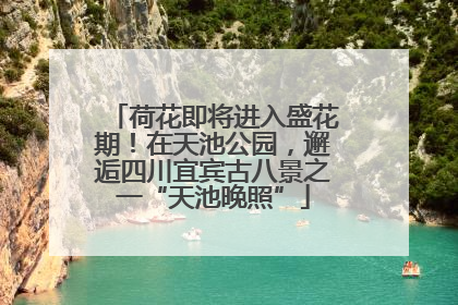 荷花即将进入盛花期！在天池公园，邂逅四川宜宾古八景之一“天池晚照”